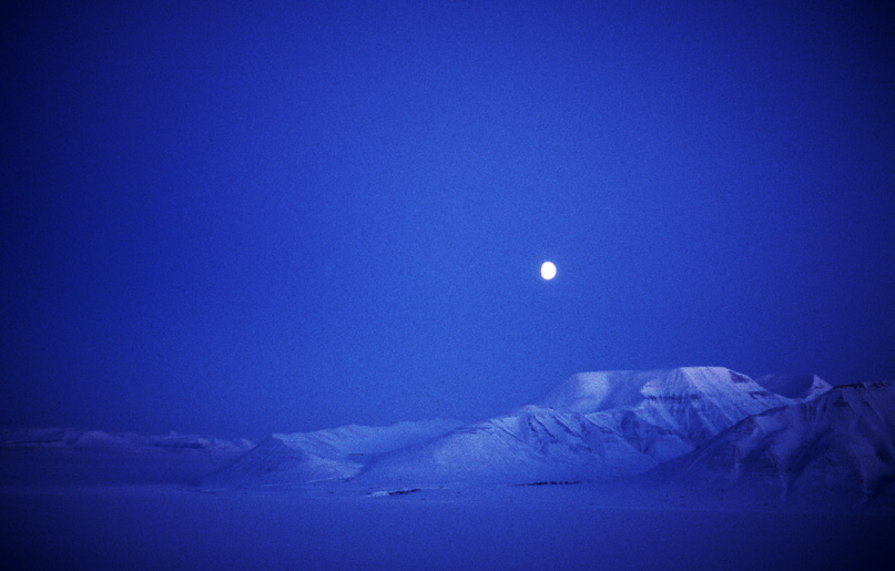 Reveneset, Adventfjord